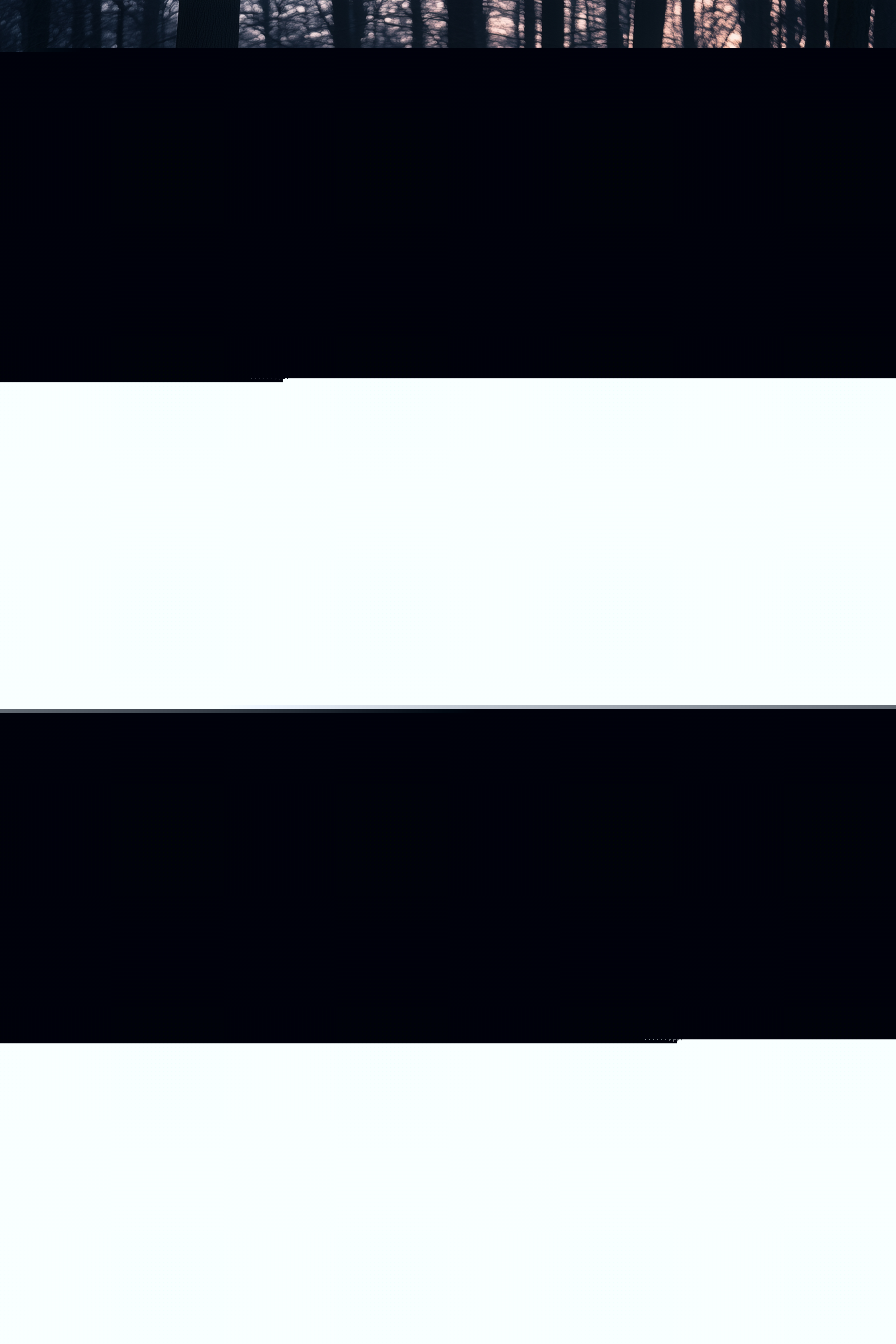 They Go Back by Anaba Zaji Atabey